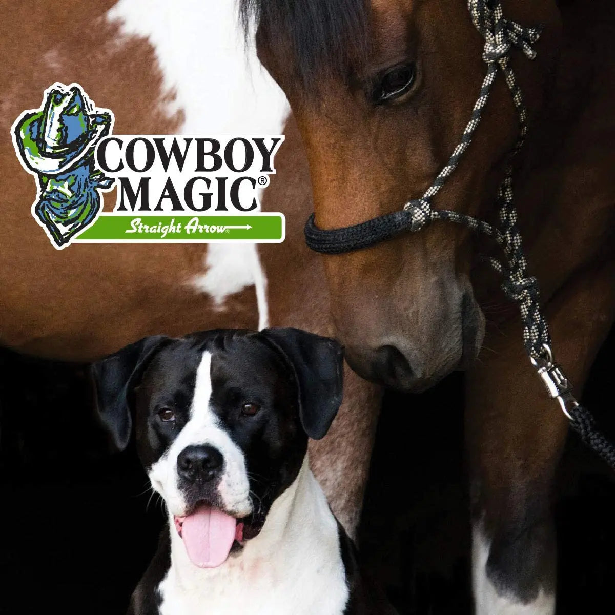 Cowboy Magic Concentrated Rosewater Conditioner 16 oz. Horse Dogs Cat & Humans