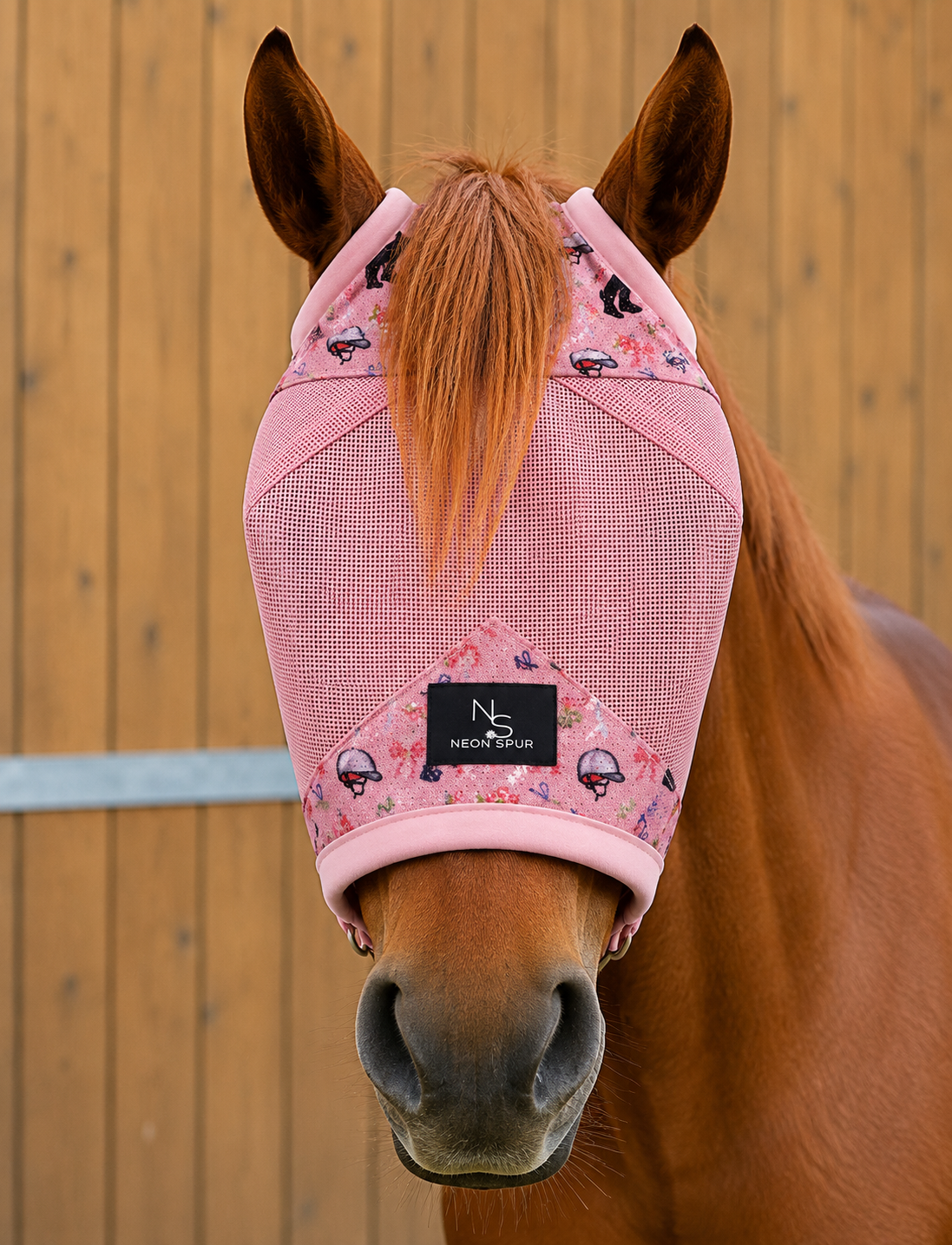 Equine Accessories
