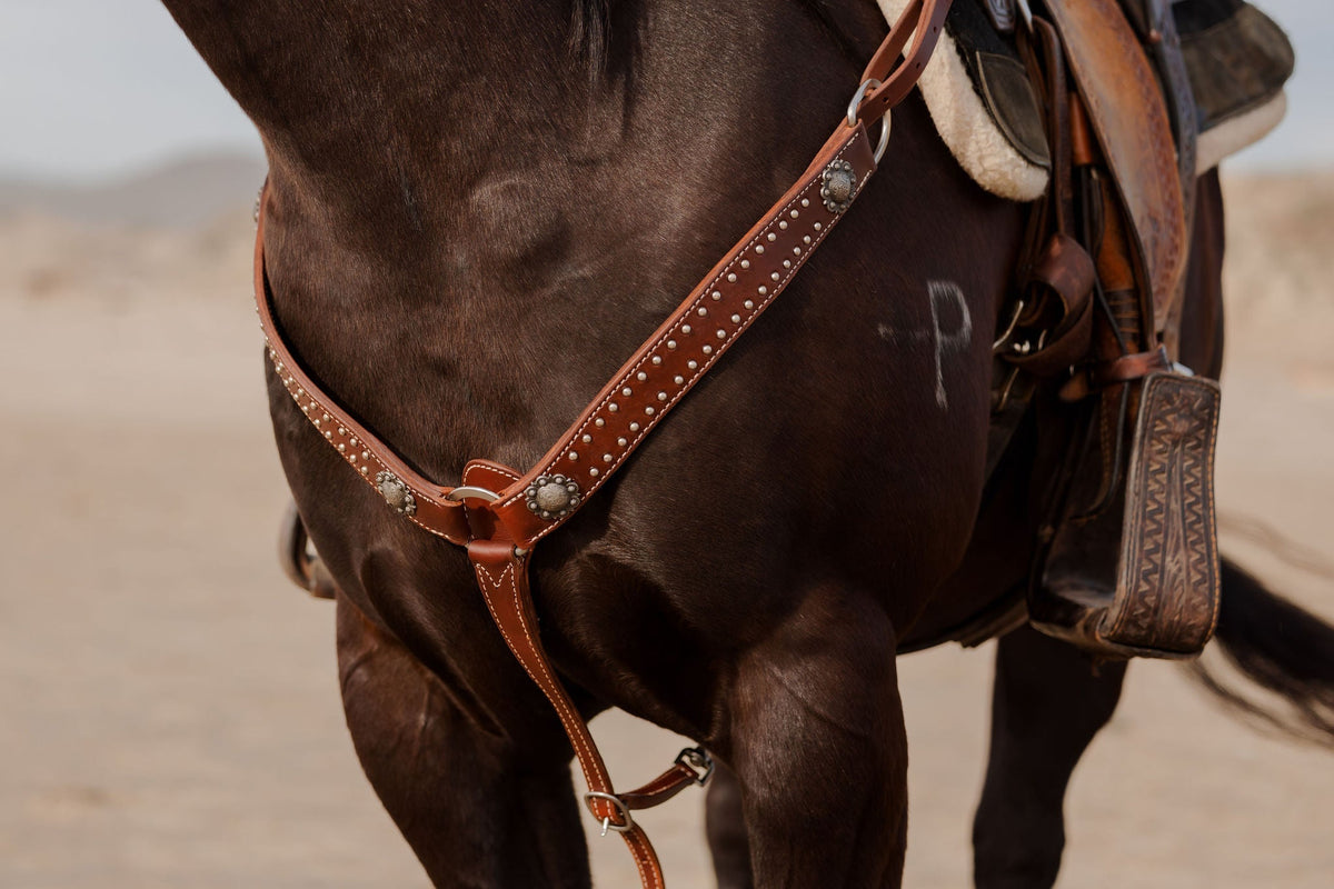 Western Tack