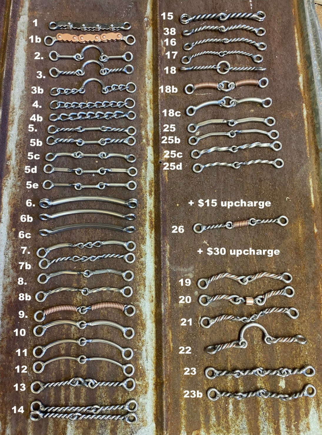 179-7" Dr Bristol #13 Mouth