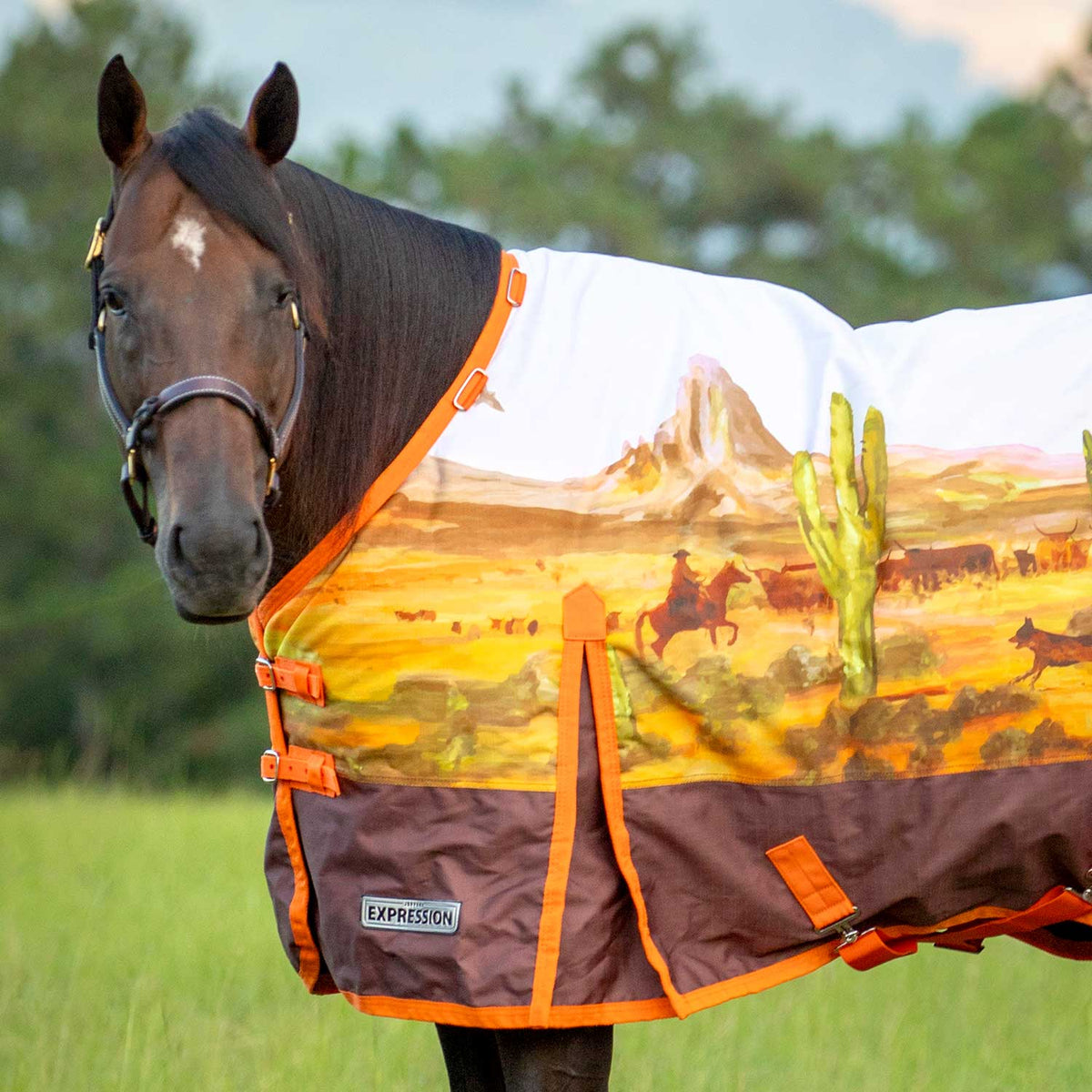 Jeffers Expression 1200 Denier Standard Neck Horse Turnout Sheet, 0 Gram