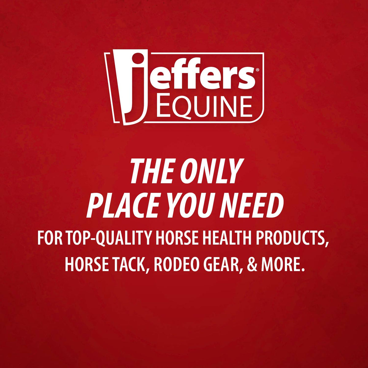 Jeffers Protective Horse Boots, Solid Colors